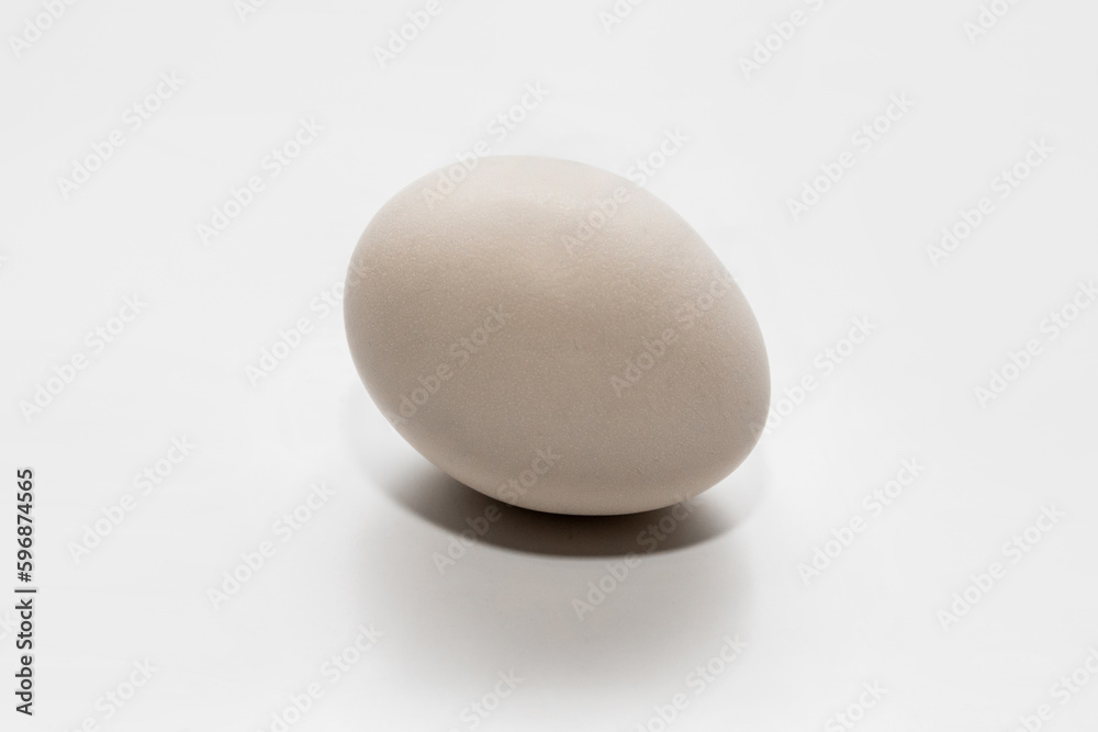 White chicken egg on light bright background healthy food breakfast ingredient White chicken egg on light bright background healthy food breakfast ingredient