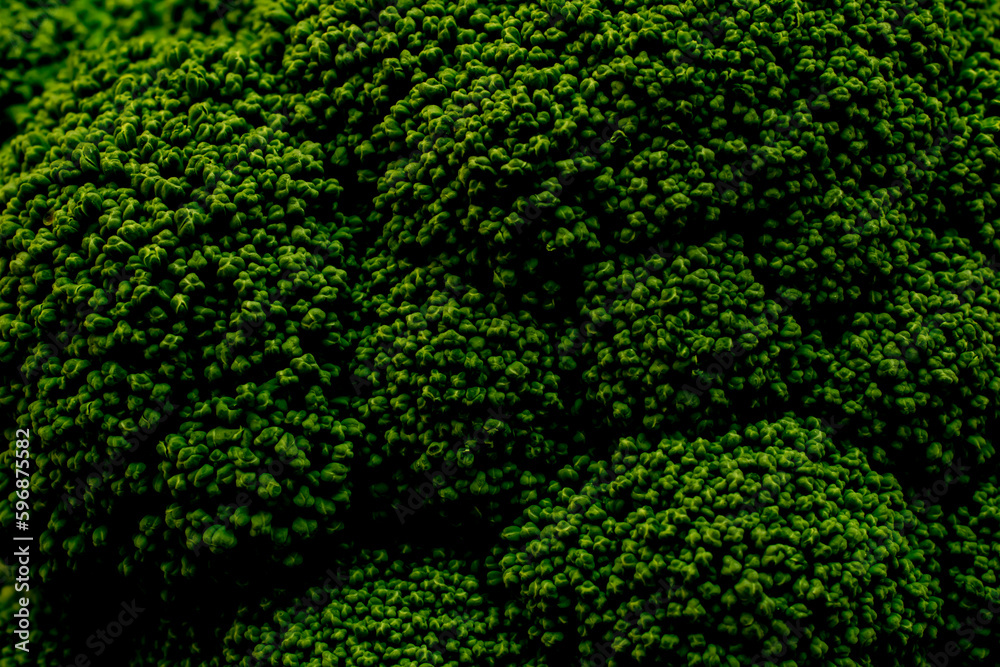 background texture with broccoli vegetables