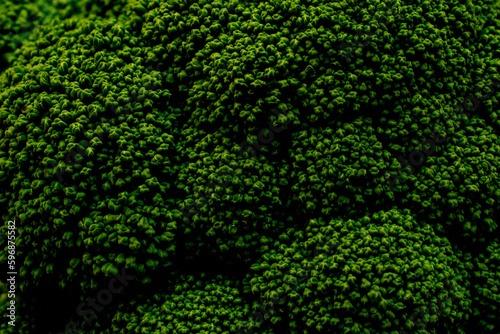 background texture with broccoli vegetables