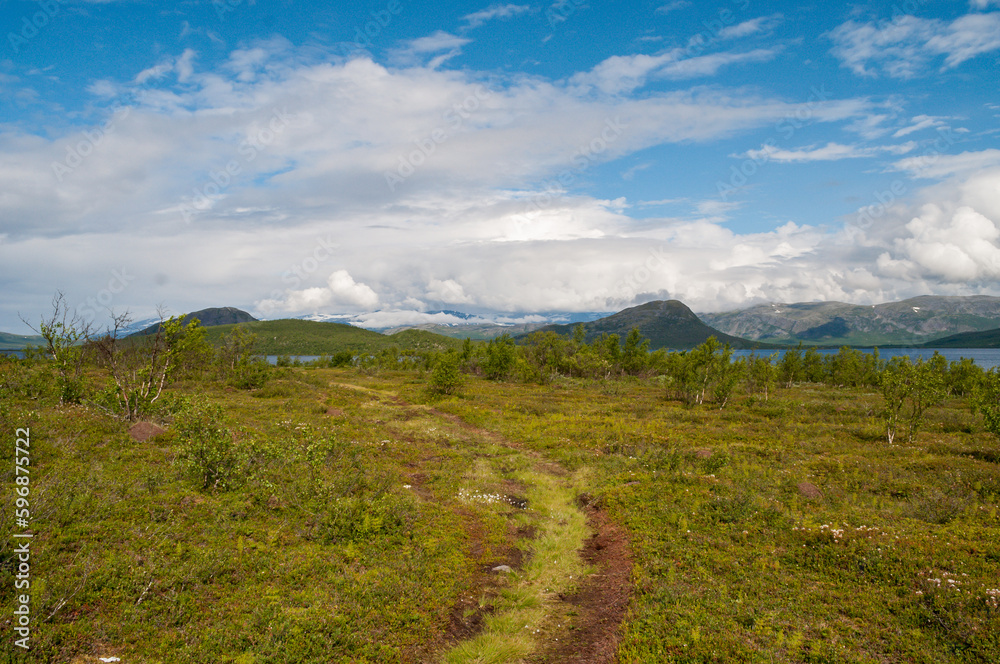 Path for hikers on a meadow in the mountains in Abisko National Park in Sweden