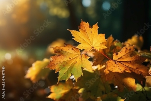 Natural autumn background with golden yellow and orange maple leaves glowing in the sun on a gentle blurry light green background. AI generative