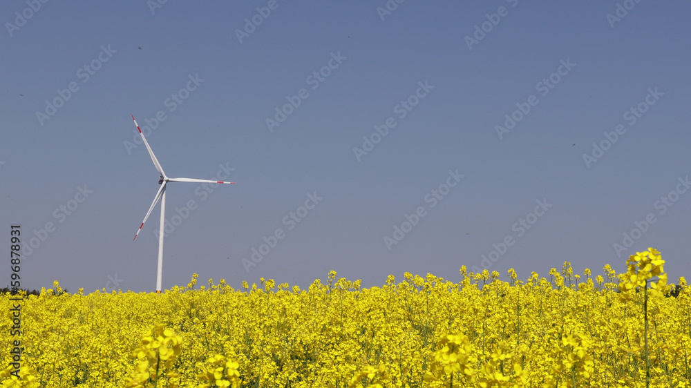 a summer landscape against the backdrop of windmills a summer landscape against the backdrop of windmills