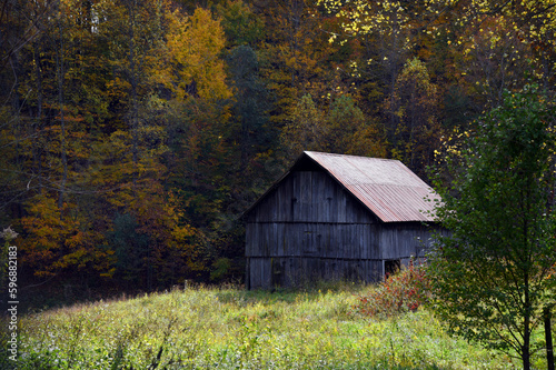 Forest Shrouded Weathered Barn