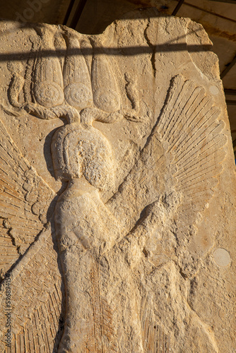 Bas-relief in Achaemenid Palace of Cyrus, Pasargadae, Iran