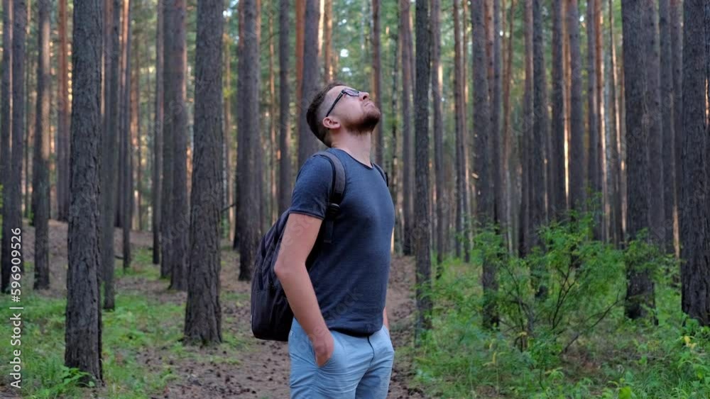 man in glasses, blue shorts and a gray T-shirt with a backpack walks through a pine forest, having rest outdoors at sunset. man in glasses, blue shorts and a gray T-shirt with a backpack walks through a pine forest, having rest outdoors at sunset.