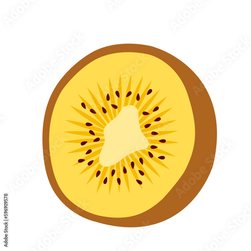 Gold kiwi. Half of tropical golden kiwifruit. Hand-drawn colored flat vector illustration isolated on white.