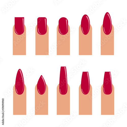 Set of different types of fingernail shapes isolated on white background flat vector illustration