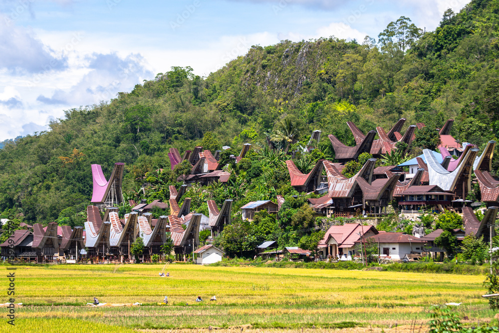 traditional village of tana toraja land, indonesia