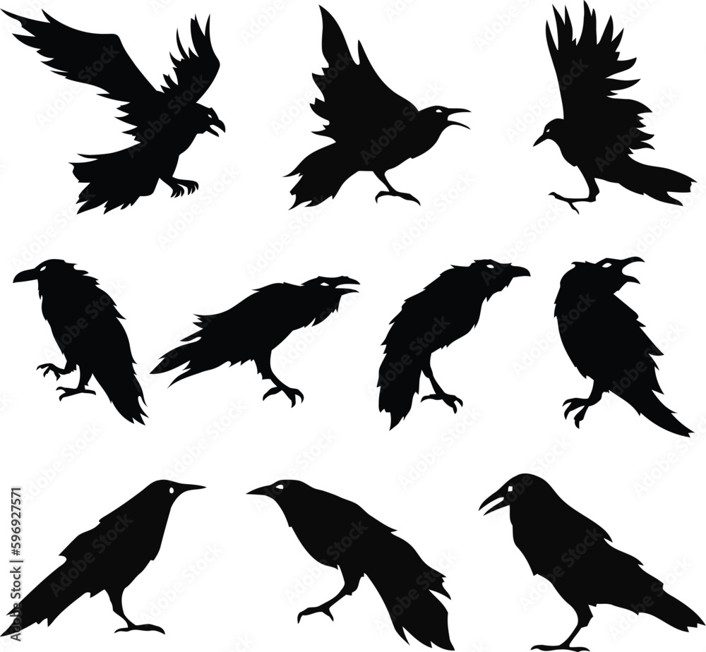 Obraz premium Dark as Night- Set of 10 Raven, Crow, and Black Bird Vector Silhouettes