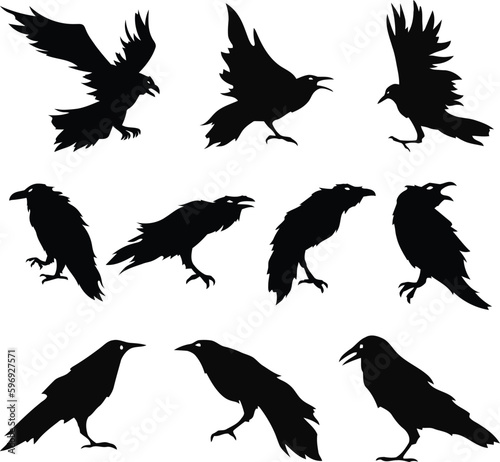 Dark as Night- Set of 10 Raven, Crow, and Black Bird Vector Silhouettes