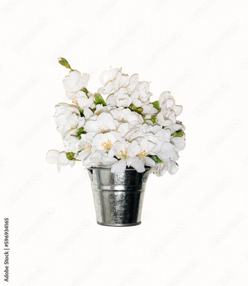 Pear flowers collected in a bucket on a white background. The concept of spring.