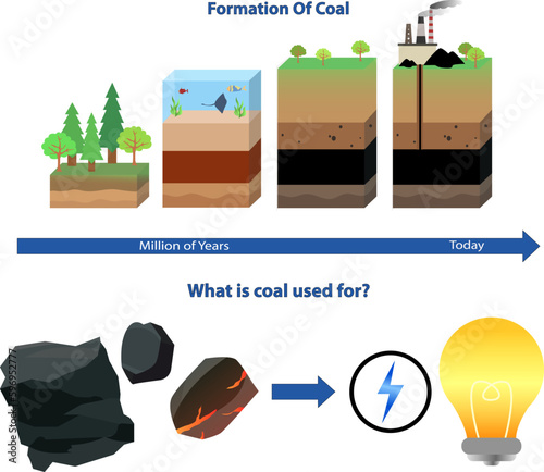 Formation of coal vector illustration, coal formation process, what is coal use for explanation and infographic, gas and petroleum process, 