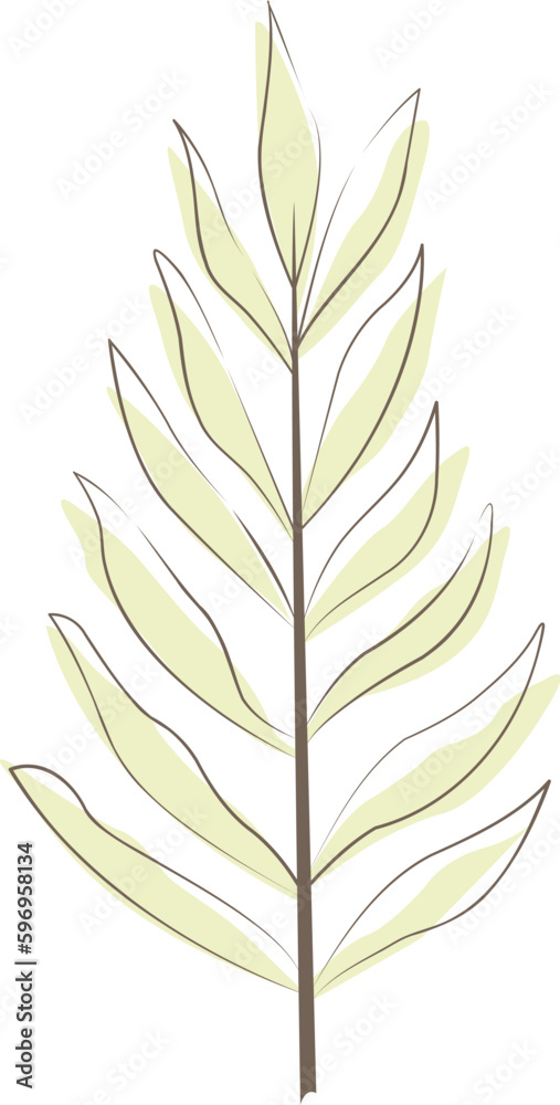 Naklejka premium Tropical leaf, monstera, palm leaf, coconut leaf illustration for tropical forest and summer garden style.