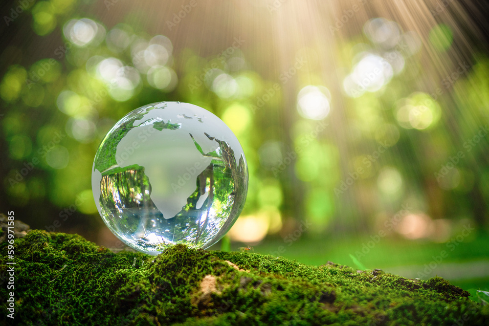 Crystal Earth On Soil In Forest With Ferns And Sunlight - Environment, save clean planet, ecology concept. Earth Day banner with copy space. Crystal Earth On Soil In Forest With Ferns And Sunlight - Environment, save clean planet, ecology concept. Earth Day banner with copy space.
