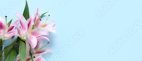 Fototapeta Naklejka Na Ścianę i Meble -  Beautiful lilies on light blue background with space for text