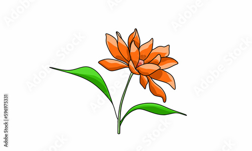 Lotus flower illustration. Or by another name Nymphaea. Flat design. Isolated white background
