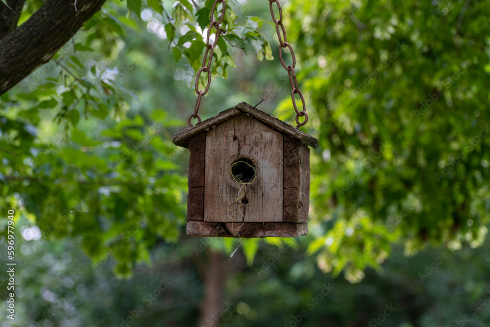 Closeup of a wooden birdhouse hanging from a tree branch Closeup of a wooden birdhouse hanging from a tree branch