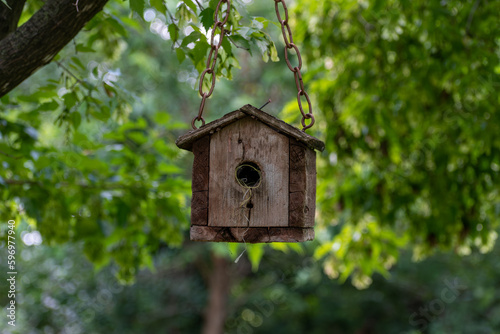 Closeup of a wooden birdhouse hanging from a tree branch