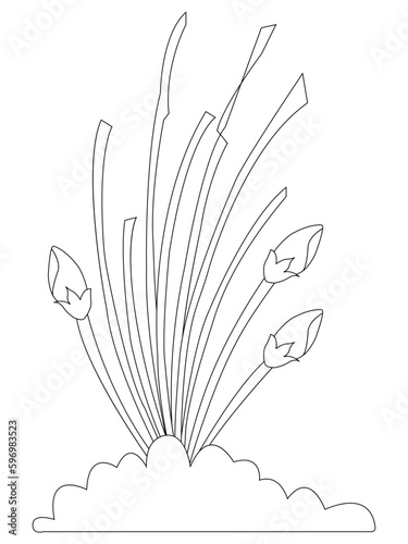 Vector illustration with flowers. Coloring page. Garden print. Monochrome line drawing. Flower, floral painting. Graphic line art