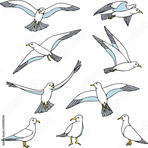 pack of colored seagull collection vector illustration isolated in white background