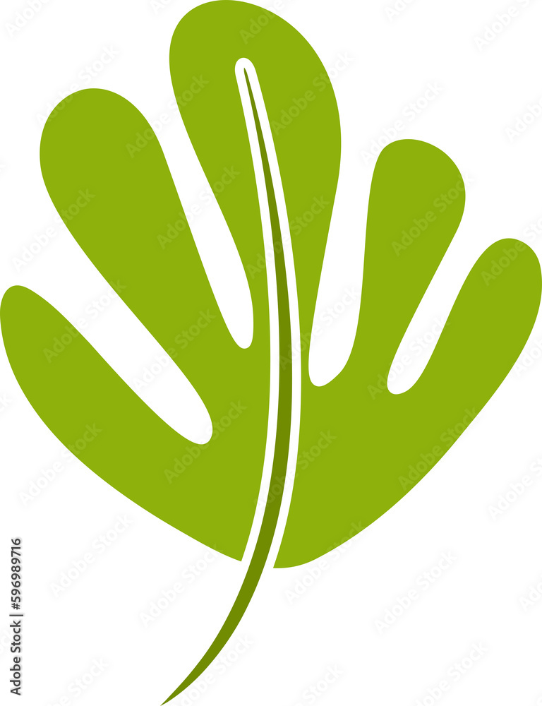 tropical leaf illustration tropical leaf illustration