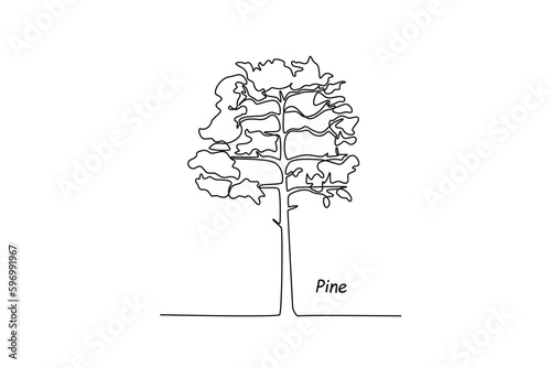 Single one line drawing pine. Tree concept. Continuous line draw design graphic vector illustration.