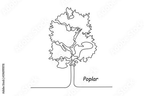 Single one line drawing poplar. Tree concept. Continuous line draw design graphic vector illustration.