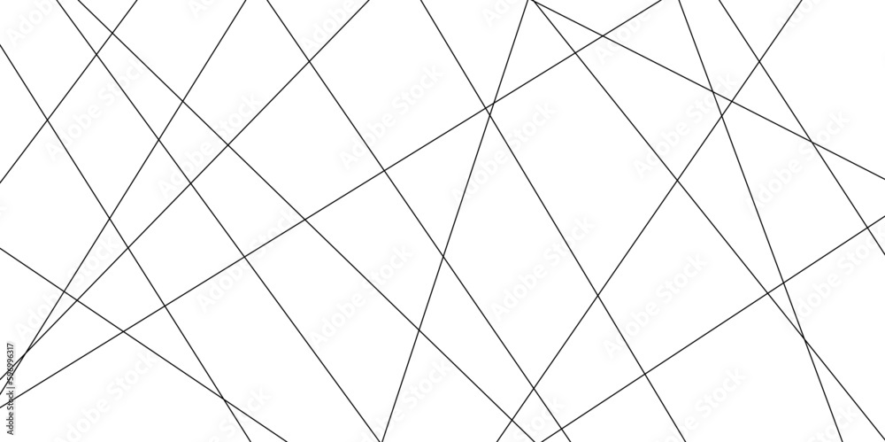 Abstract lines in black and white tone of many squares and rectangle shapes on white background. Metal grid isolated on the white background. nervures de Feuillet mores, fond rectangle and geometri	
 - obrazy, fototapety, plakaty 
