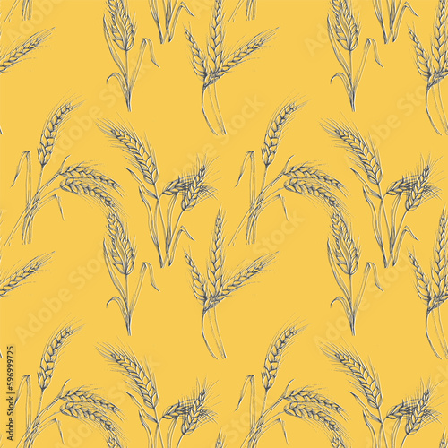 Vector Agriculture Seamless Pattern. Wheat field, seamless texture pattern with hand drawn ears, vector abstract illustration in vintage style.