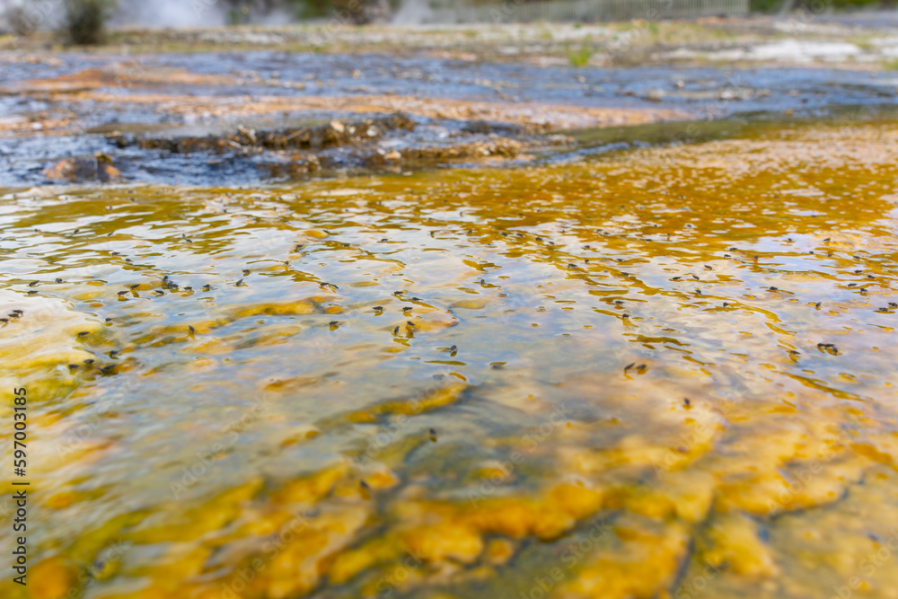 Orakei Korako geothermal landscape