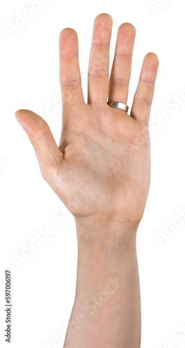 Raised Hand , Five Fingers