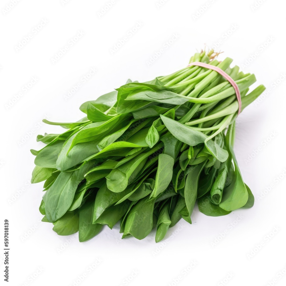 Water Spinach Kangkong Isolated on White. Generative AI