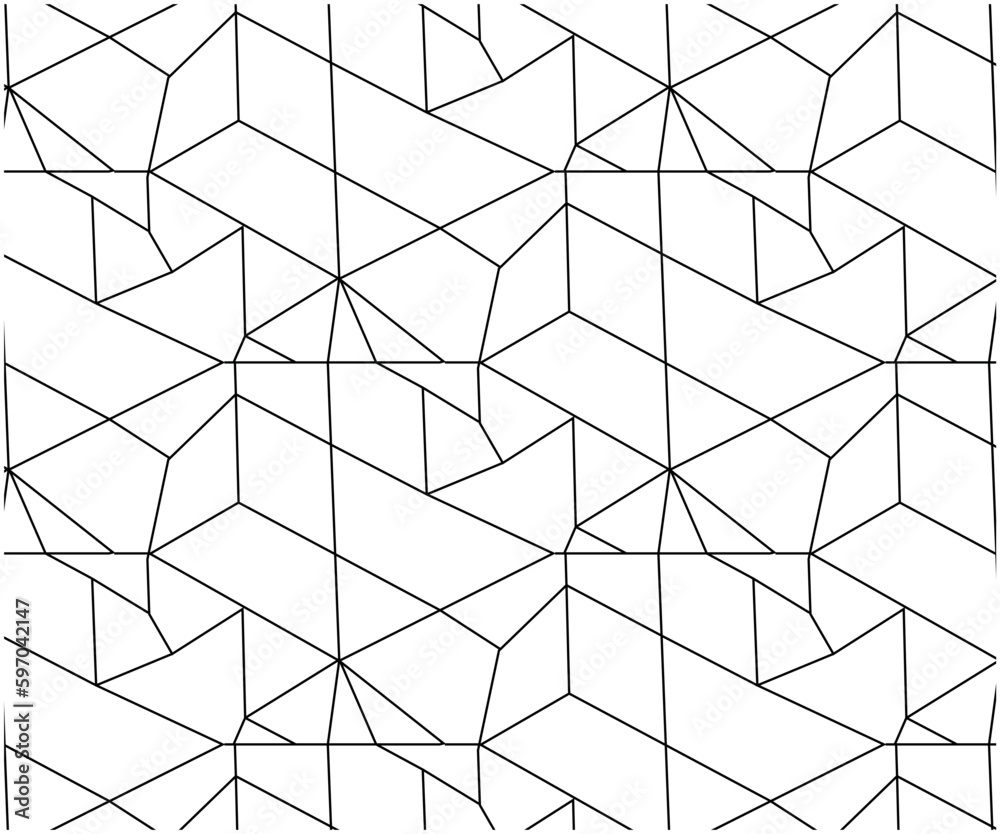 Graceful Intricacies: Delicate Black Line Patterns on White Background