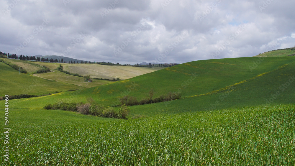landscape in the middle of tuscany - lajatico landscape in the middle of tuscany - lajatico