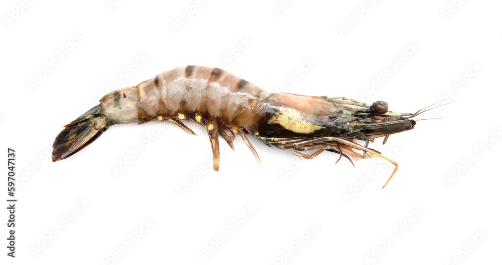 King prawns isolated on white background. King prawns isolated on white background.