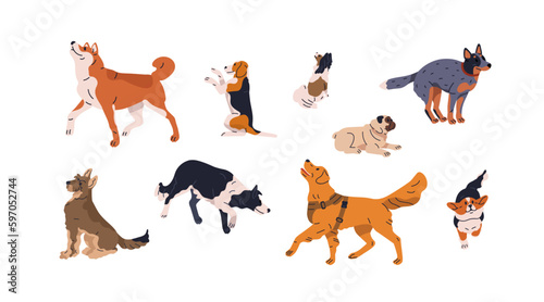 Dogs in motion set. Different canine breeds. Obedient doggies, puppies. Activ...