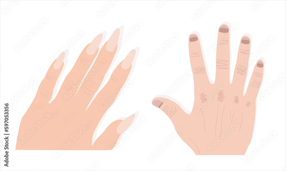 Male And Female hands isolated on white Male And Female hands isolated on white