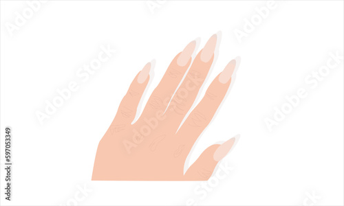 Female Fingers and Hand on white