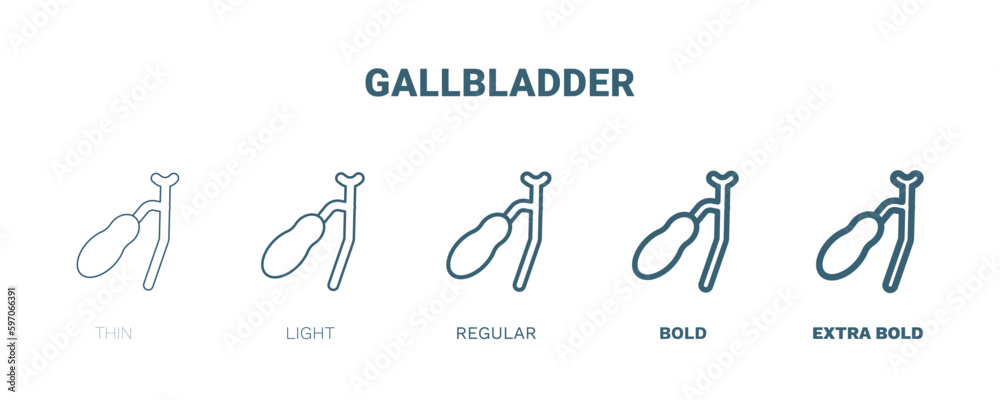 gallbladder icon. Thin, light, regular, bold, black gallbladder icon set from medical and healthcare collection. Editable gallbladder symbol can be used web and mobile gallbladder icon. Thin, light, regular, bold, black gallbladder icon set from medical and healthcare collection. Editable gallbladder symbol can be used web and mobile