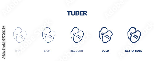 tuber icon. Thin, light, regular, bold, black tuber icon set from vegetables and fruits collection. Editable tuber symbol can be used web and mobile
