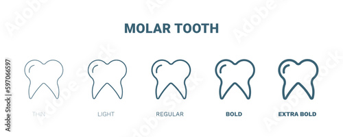 molar tooth icon. Thin, light, regular, bold, black molar tooth icon set from medical and healthcare collection. Editable molar tooth symbol can be used web and mobile