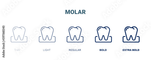 molar icon. Thin, light, regular, bold, black molar icon set from medical collection. Editable molar symbol can be used web and mobile