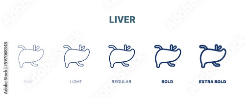 liver icon. Thin, light, regular, bold, black liver icon set from medical collection. Editable liver symbol can be used web and mobile