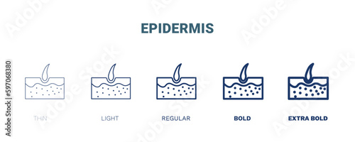 epidermis icon. Thin, light, regular, bold, black epidermis icon set from medical collection. Editable epidermis symbol can be used web and mobile
