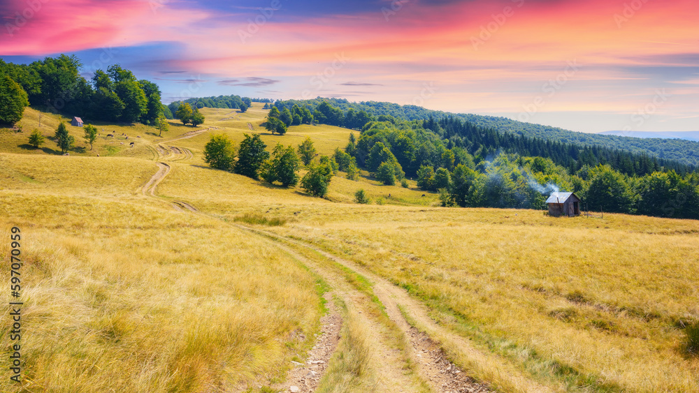 path through hills and grassy meadows. mountainous summer landscape at sunset. trees along the road