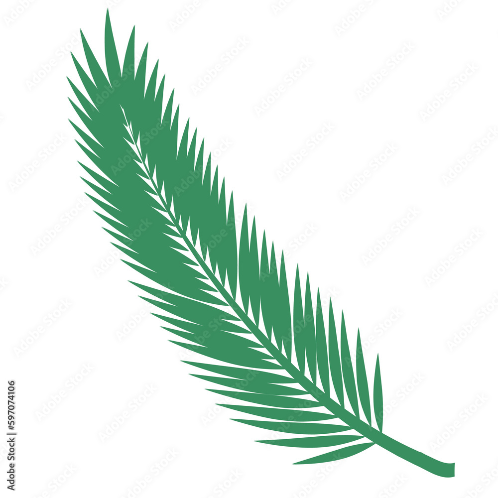 Green abstract palm leaf Green abstract palm leaf