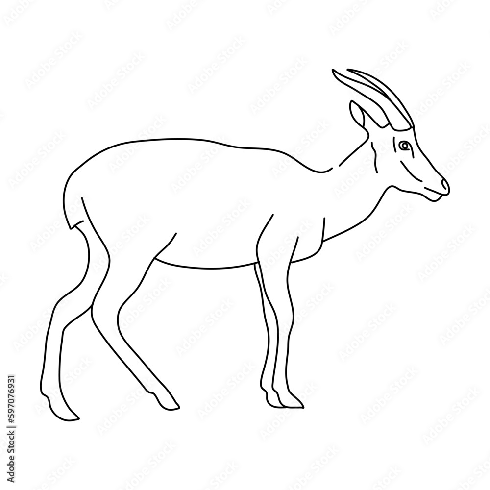 Fototapeta premium Sketch of Antelope. Hand drawn vector illustration.