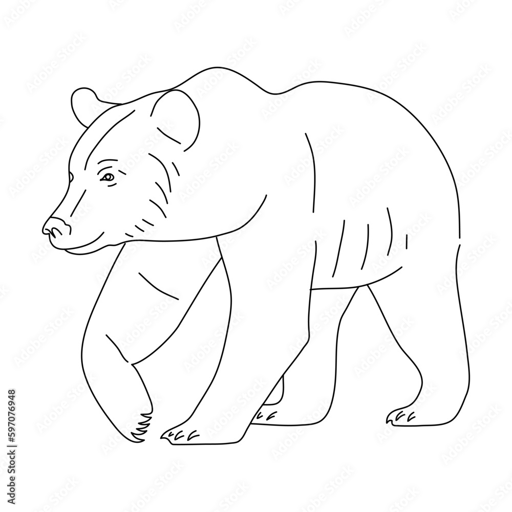 Fototapeta premium Sketch of Brown bear. Hand drawn vector illustration.