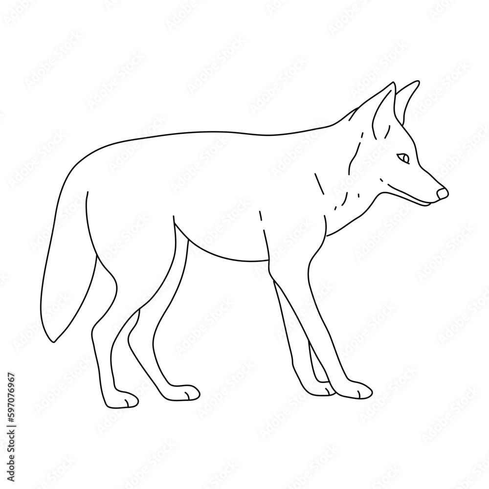 Coyote in line art drawing style. Vector illustration.