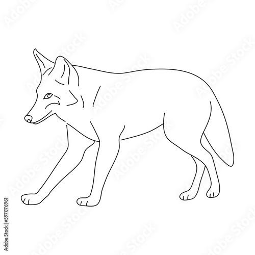 Sketch of Coyote. Hand drawn vector illustration.